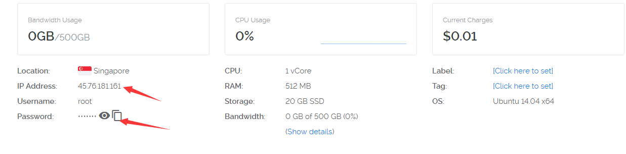 查看 Vultr VPS 密码