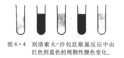 化学钟